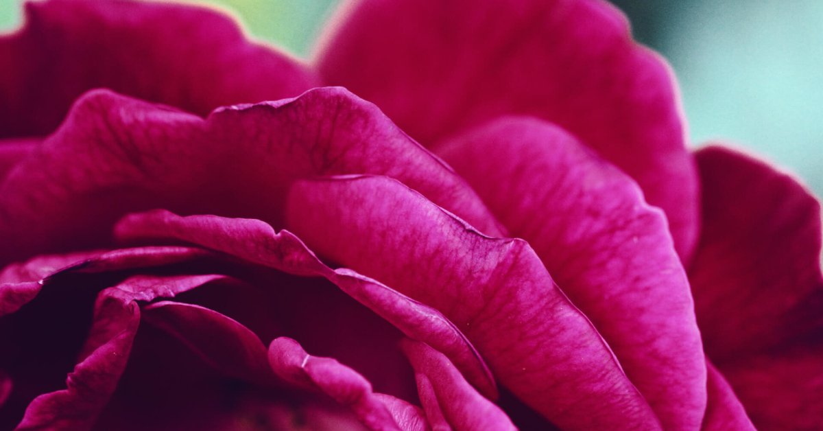 Creamy Cashew Milk Recipe: No Straining for Easy Dairy-Free Goodness